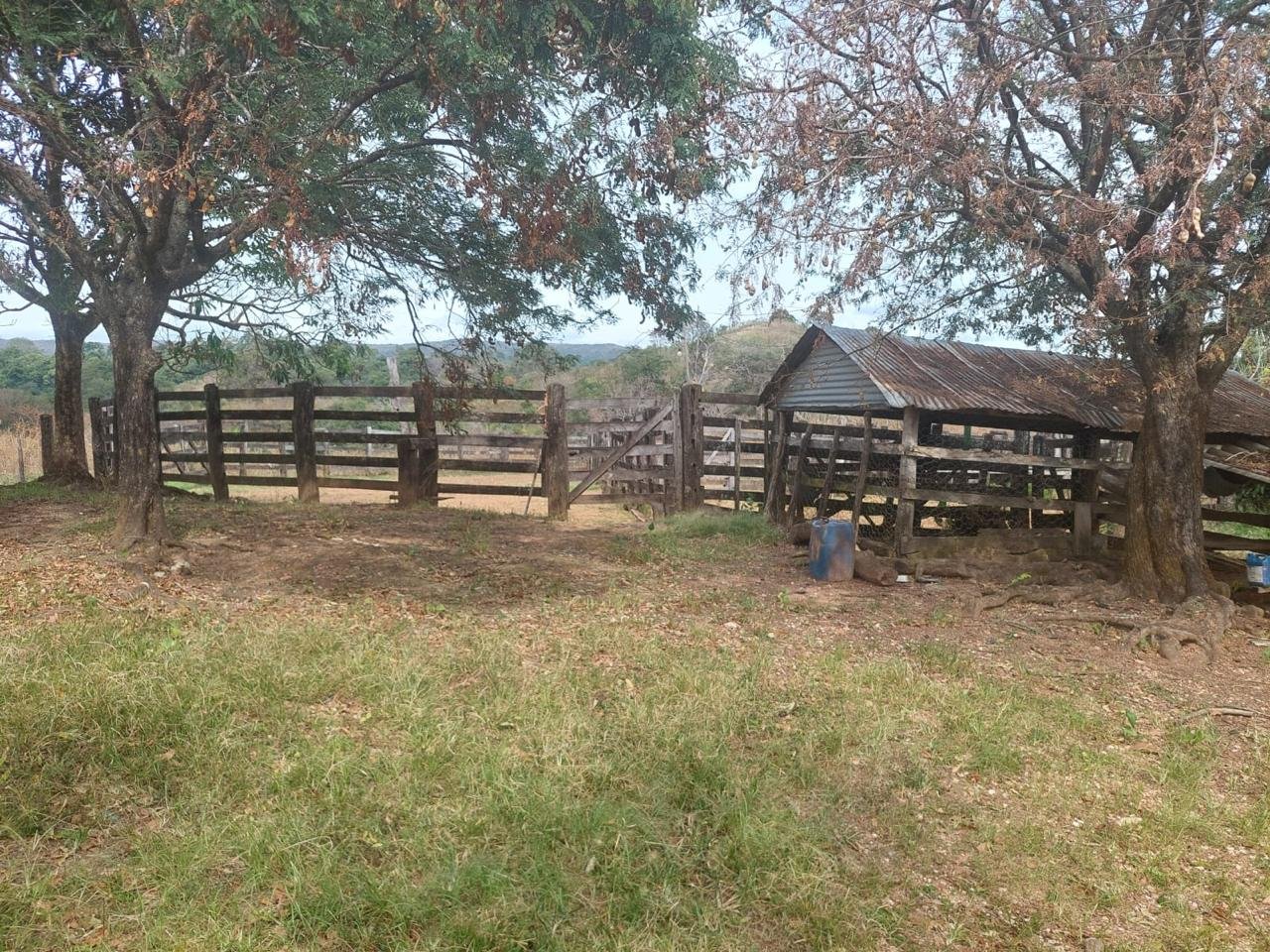 VENDE -SE FAZENDA REGIÃO PLANALTO DA SERRA — foto 4